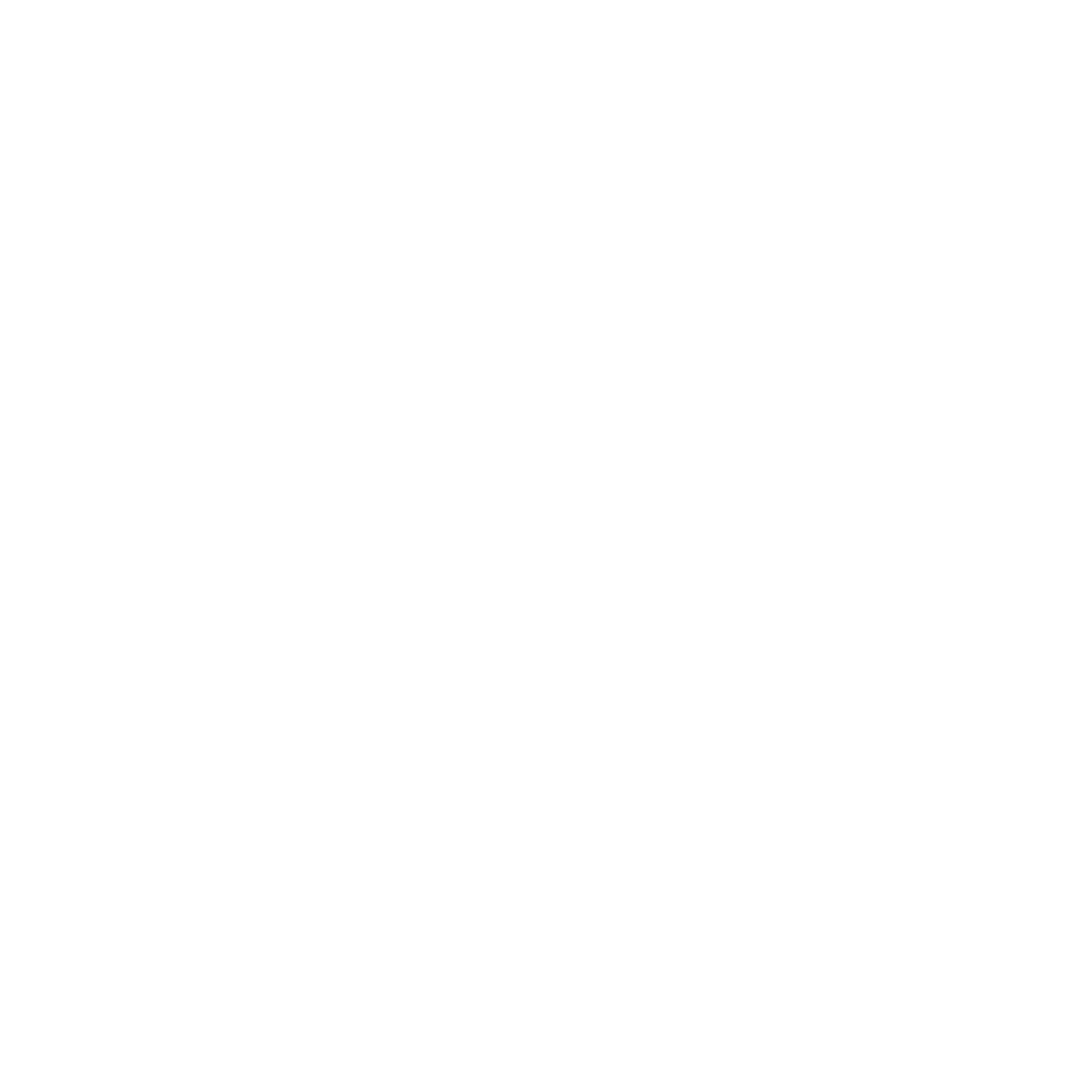 magpie-03