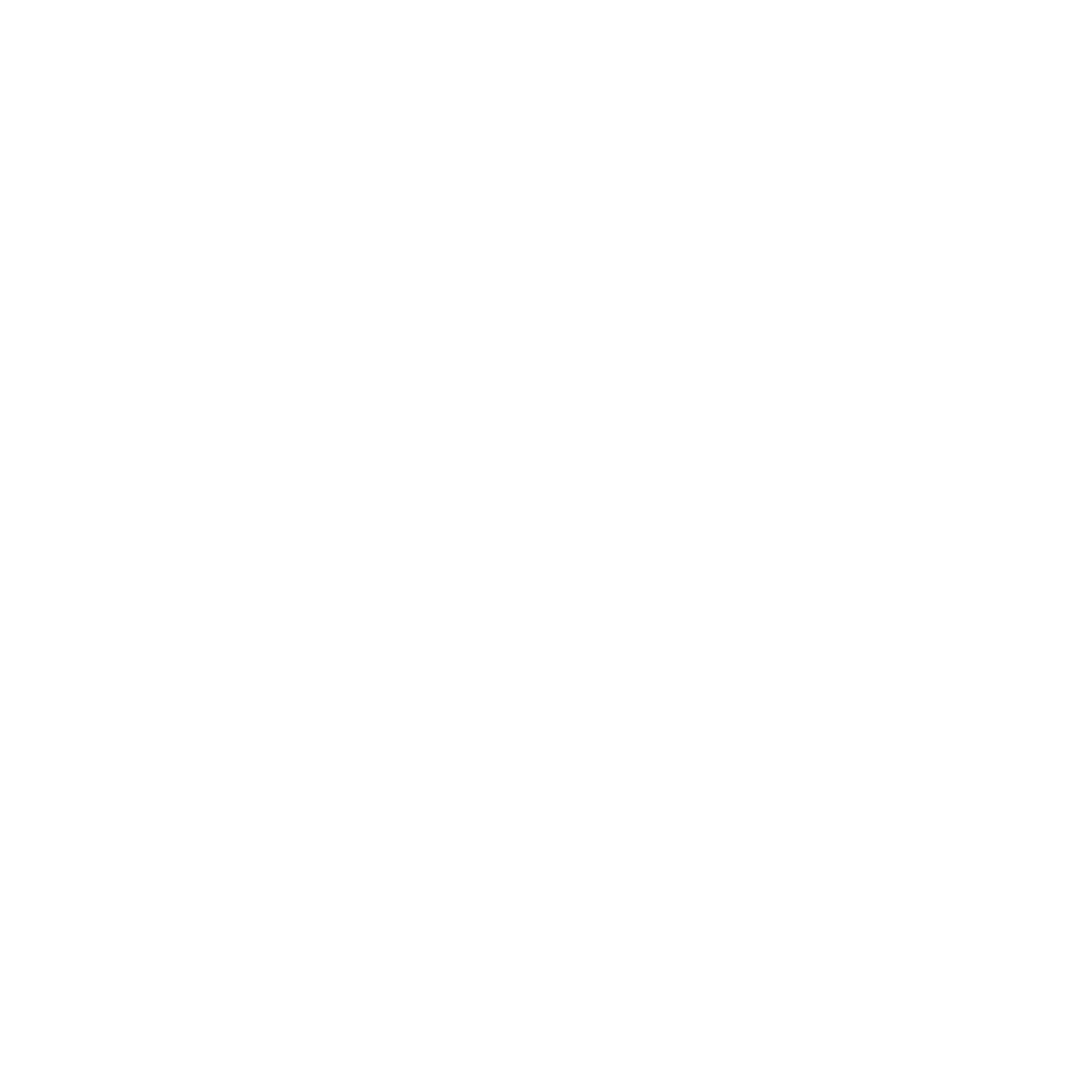 magpie-04